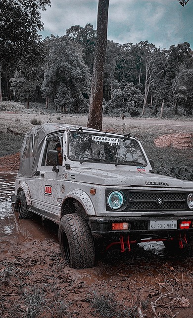 精神的体育 精神的体育