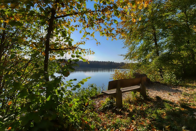 賽季中穩居 賽季中穩居