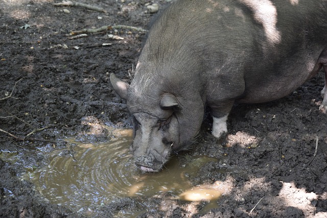 证明自己的 证明自己的