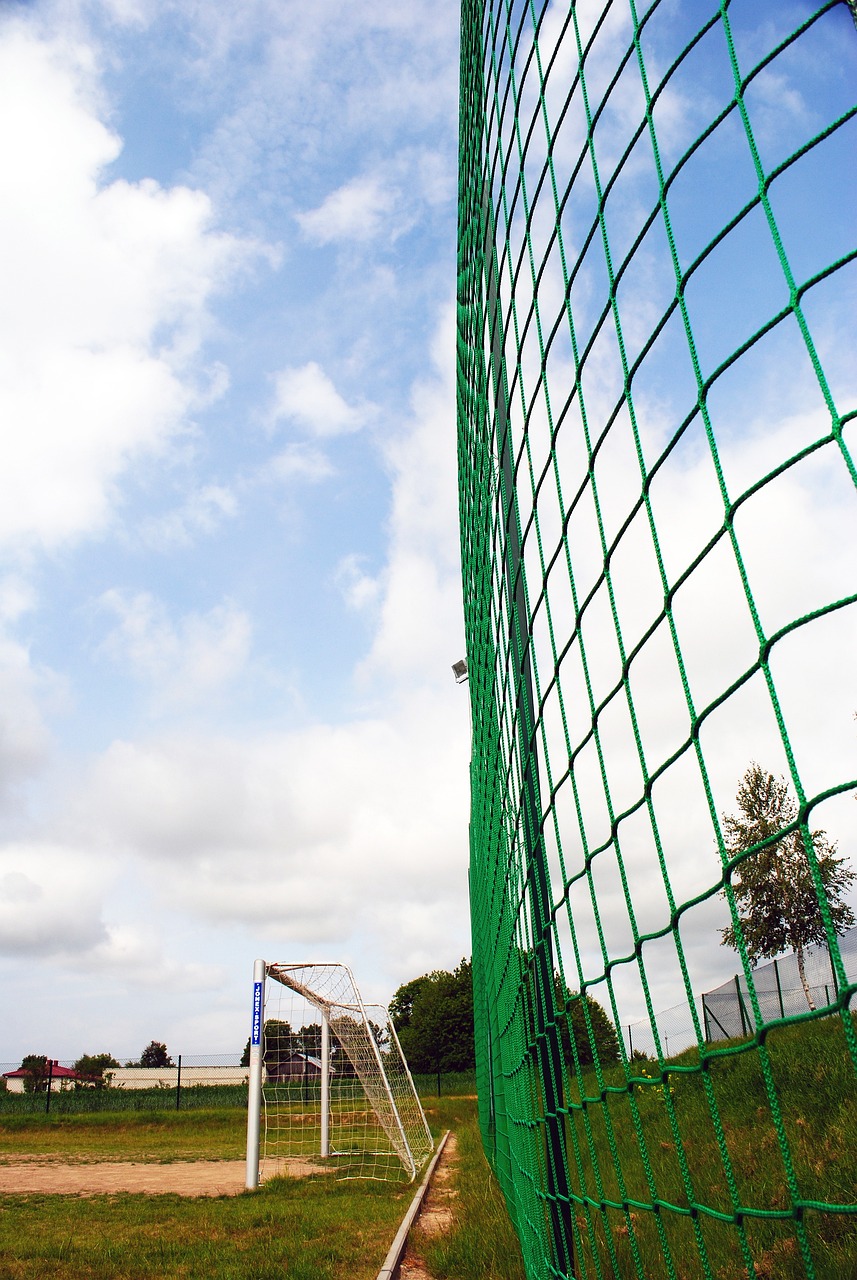 杀入四强 杀入四强